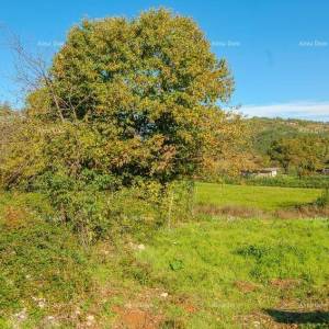 Prodaja-građevinsko zemljište za izgradnju obiteljske kuće, Karojba!