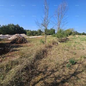 Prodaja građevinskog zemljišta, Žminj