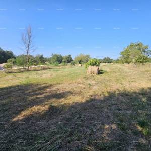 Prodaja građevinskog zemljišta, Žminj