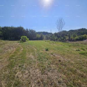 Prodaja građevinskog zemljišta, Žminj