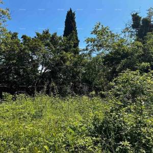 Prodaja kuće sa  stajom i zemljištem u blizini Barbana!