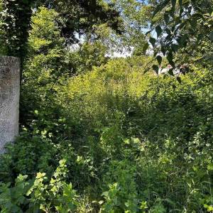 Prodaja kuće sa  stajom i zemljištem u blizini Barbana!