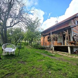 Prodaja, Petrinja - Dragotinci, Kuća s velikim zemljištem od 4200m2 + dodatni objekti