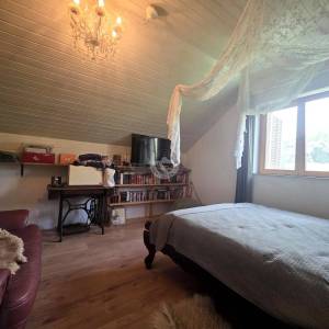 Prodaja, Petrinja - Dragotinci, Kuća s velikim zemljištem od 4200m2 + dodatni objekti