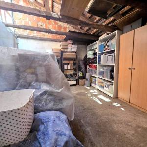 Prodaja, Petrinja - Dragotinci, Kuća s velikim zemljištem od 4200m2 + dodatni objekti