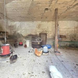 Prodaja, Petrinja - Dragotinci, Kuća s velikim zemljištem od 4200m2 + dodatni objekti