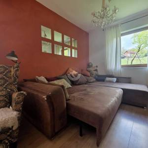 Prodaja, Petrinja - Dragotinci, Kuća s velikim zemljištem od 4200m2 + dodatni objekti