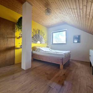 Prodaja, Petrinja - Dragotinci, Kuća s velikim zemljištem od 4200m2 + dodatni objekti