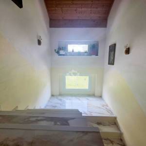 Prodaja, Petrinja - Dragotinci, Kuća s velikim zemljištem od 4200m2 + dodatni objekti