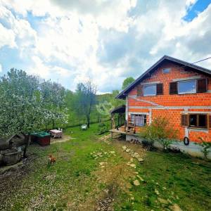 Prodaja, Petrinja - Dragotinci, Kuća s velikim zemljištem od 4200m2 + dodatni objekti