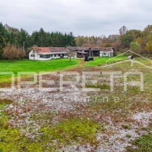 PRODAJA, STAMBENO-POSLOVNO GRAĐEVINSKO ZEMLJIŠTE, ŽAŽINA - OKOLICA SISKA, 3.502 