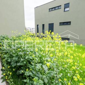 Prodaja, Stan, Bukovac, Bukovačka, 3s, 120m2