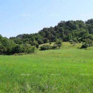 Prodaja- veliko imanje/stancija u središnjoj Istri, Pazin! Investicijska prilika!