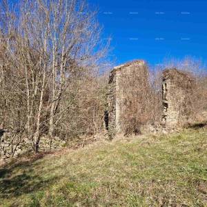 Prodaja- veliko imanje/stancija u središnjoj Istri, Pazin! Investicijska prilika!