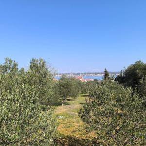 Prodaja,građevinsko zemljište s pogledom na more,Prvić