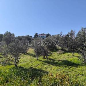 Prodaja,građevinsko zemljište s pogledom na more,Prvić