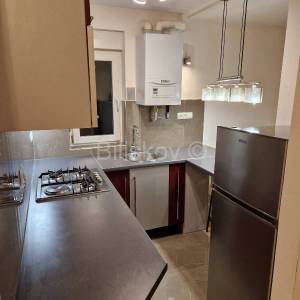 Prodaja,Šalata,dvosoban stan, površine 50 m2, u prizemlju zgrade,vrt