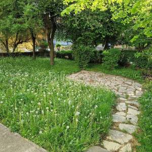 Prodaja,Šalata,dvosoban stan, površine 50 m2, u prizemlju zgrade,vrt
