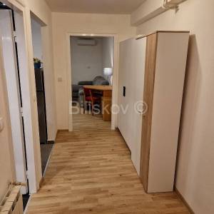Prodaja,Šalata,dvosoban stan, površine 50 m2, u prizemlju zgrade,vrt