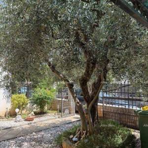 Prodaje se dvojna  kuća u Poreču, 2 km od mora