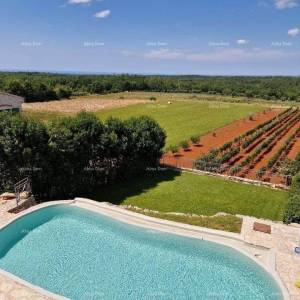 Prodaje se kamena vila sa bazenom u Vižinadi