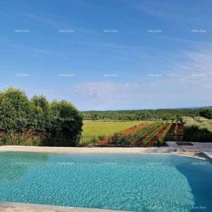 Prodaje se kamena vila sa bazenom u Vižinadi