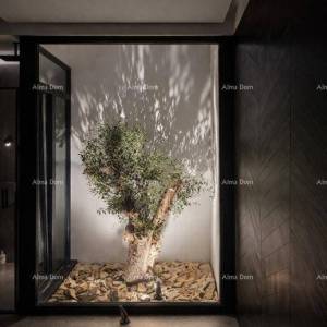 Prodaje se kuća prizemnica u mirnom dijelu Labina