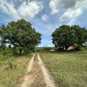 Prodaje se kuća, Vodnjan