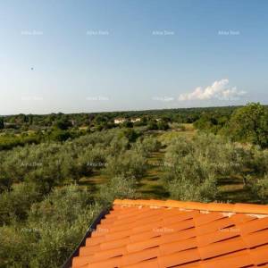 Prodaje se kuća, Vodnjan