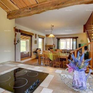 Prodaje se prekrasna vila sa bazenom u blizini Pazina