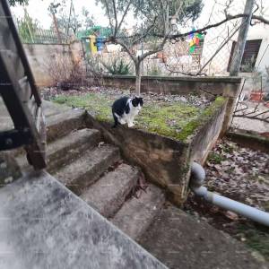 Prodaje se samostojeća kuća – Poreč