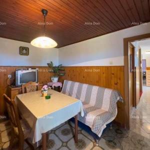 Prodajemo veliku samostojeću kuću sa velikom okućnicom!