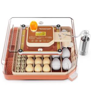 Profesionalni inkubator za 48 jaja, Incupro