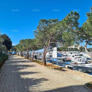 Prvi red do mora i plaže – kuća s bazenom i velikom okućnicom, Pješčana Uvala!