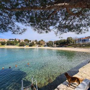 Prvi red do mora i plaže – kuća s bazenom i velikom okućnicom, Pješčana Uvala!