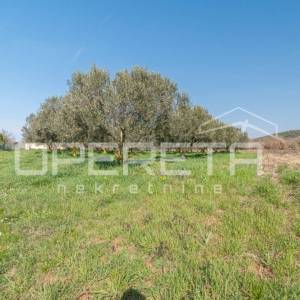 Rovinj, poljoprivredno imanje s plastenicima, gospodrskim zgradama i smještajem