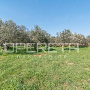 Rovinj, poljoprivredno imanje s plastenicima, gospodrskim zgradama i smještajem