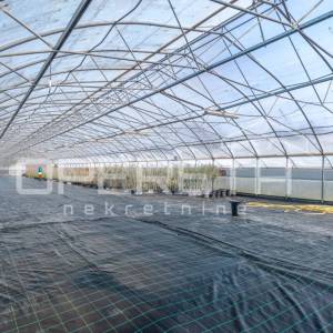 Rovinj, poljoprivredno imanje s plastenicima, gospodrskim zgradama i smještajem