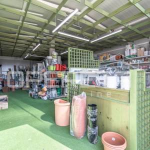 Rovinj, poljoprivredno imanje s plastenicima, gospodrskim zgradama i smještajem