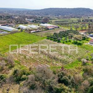 Rovinj, poljoprivredno imanje s plastenicima, gospodrskim zgradama i smještajem