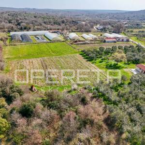 Rovinj, poljoprivredno imanje s plastenicima, gospodrskim zgradama i smještajem