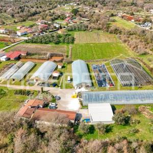 Rovinj, poljoprivredno imanje s plastenicima, gospodrskim zgradama i smještajem