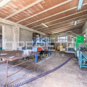 Rovinj, poljoprivredno imanje s plastenicima, gospodrskim zgradama i smještajem