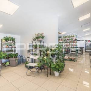 Rovinj, poljoprivredno imanje s plastenicima, gospodrskim zgradama i smještajem