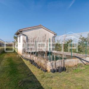 Rovinj, poljoprivredno imanje s plastenicima, gospodrskim zgradama i smještajem