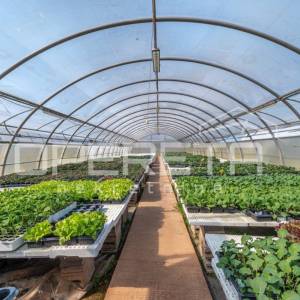 Rovinj, poljoprivredno imanje s plastenicima, gospodrskim zgradama i smještajem