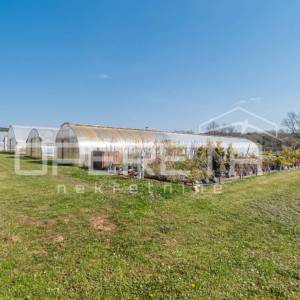 Rovinj, poljoprivredno imanje s plastenicima, gospodrskim zgradama i smještajem