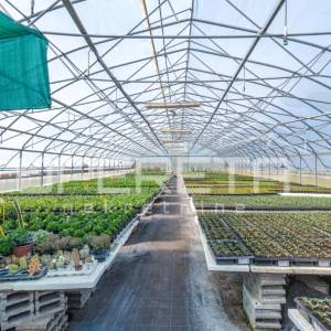 Rovinj, poljoprivredno imanje s plastenicima, gospodrskim zgradama i smještajem