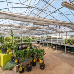 Rovinj, poljoprivredno imanje s plastenicima, gospodrskim zgradama i smještajem