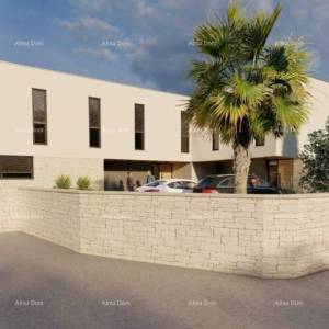 Sa bazenom! Novogradnja!  Ližnjan.